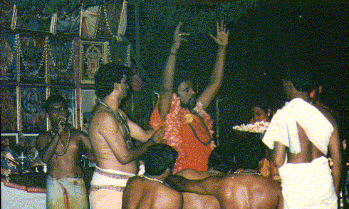 ecvstacy1.gif (78308 bytes)