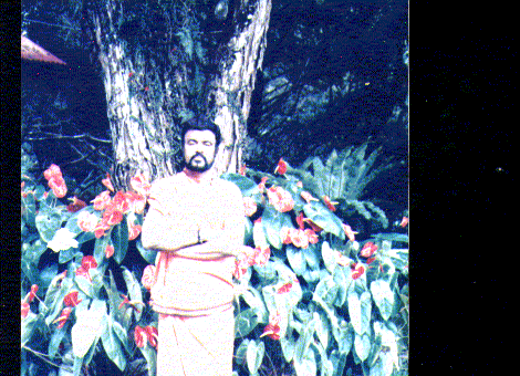 guru6.gif (73978 bytes)